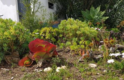 Monte da ti Luzia - Foto 63