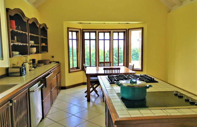 Tobago Hibiscus Villas and Apartments - Foto 20