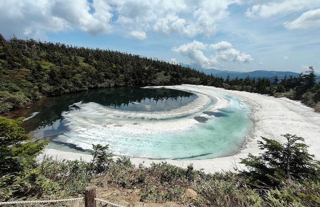 Cottage Alice - Foto 43