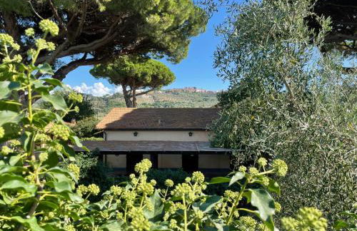 Agriturismo Il Vignone - Foto 25