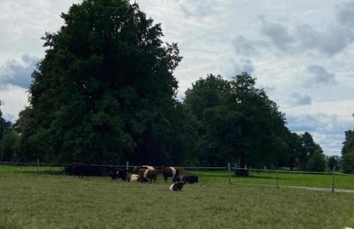 Waldblick Forest Retreat - Foto 51