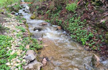 Waldblick Ferienwohnungen - Foto 16