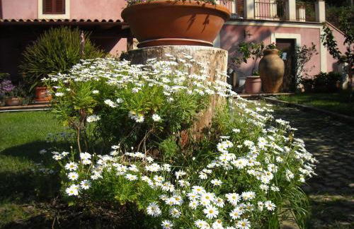 Agriturismo Villa Luca - Foto 58