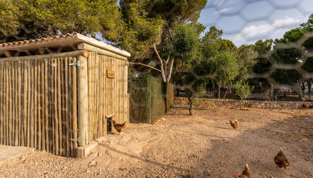 Villas & Bungalows Del Lago - Photo 5