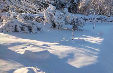 VILLA DUE TIGLI - Foto 79