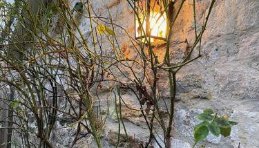 Norburton Hall Cottages - Foto 5, Garden