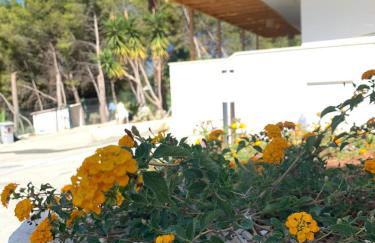 Villa Marna Bianca - Foto 30