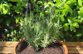 HILLS by Bibi Le Crete Senesi - Foto 32