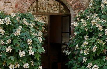 Castello Di Vicarello - Foto 21