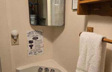 Lakefront! Twin Birch Resort - The Green Laker - Foto 44