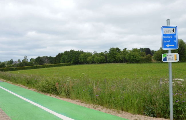 Chalet in Ovifat Near Ski Slopes - Photo 33