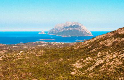 Isola Sarda Appart COSY - Foto 47
