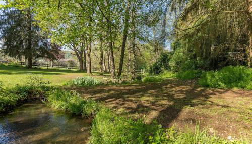 Epicéas, piscine, tennis, lac - Foto 5, Garden