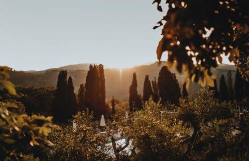 Tenuta Mocajo - Foto 13