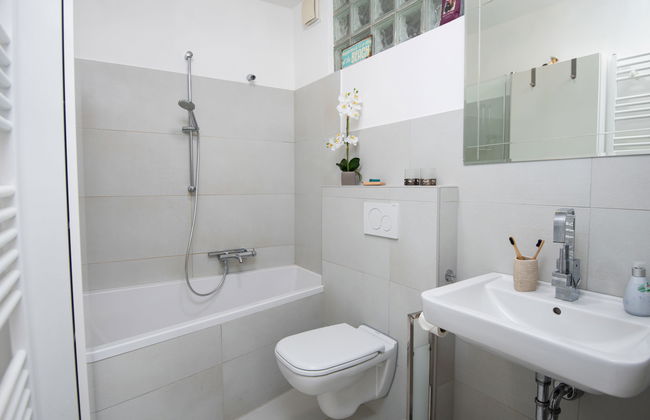 Kegelrobbe - Foto 33