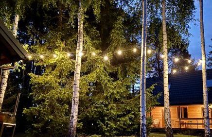 Leśne zacisze nad Narwią - Foto 5