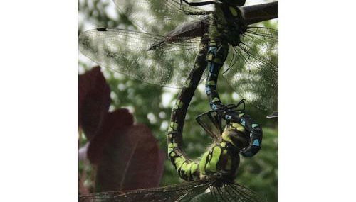 Spessart Romanticism - Foto 5, Other