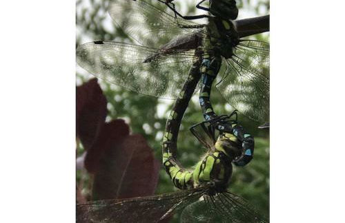 Spessart Romanticism - Foto 5