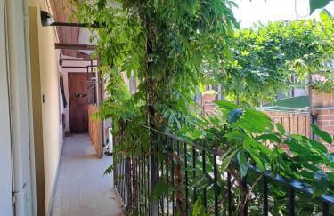 Musa Paradisiaca 6, un angolo tropicale a Torino - Foto 25