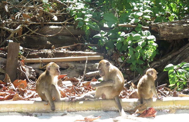 Excursión a la isla de James Bond, Koh Yao e isla Hong en barco - Foto 6
