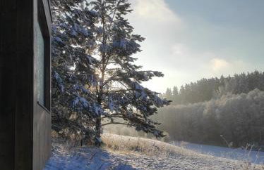 Na skraju gaju - Foto 29