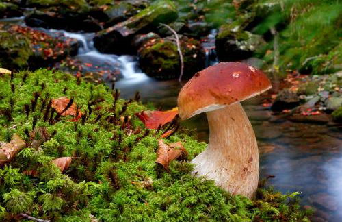 El Chorrón - Foto 45