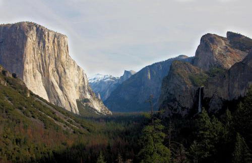 Tree House Lodge - Foto 24