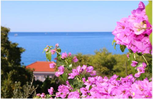 Apartment Katarina and house Marieta - Photo 35