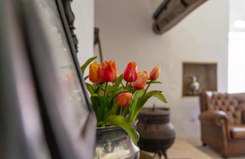 Casa Da Brêa Viana do Castelo - Villa & Apartment - Photo 9