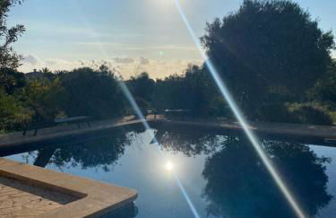 Finca Son Azul Real - Foto 11