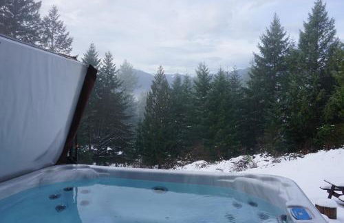 Mountain View Cabin, Hot Tub at White Pass Resort, Mt Rainier - Foto 2