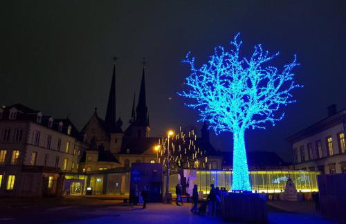 Im Baumhaus - Foto 16