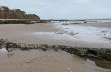 Paws A While - Foto 17