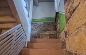 Königsnase - Foto 8