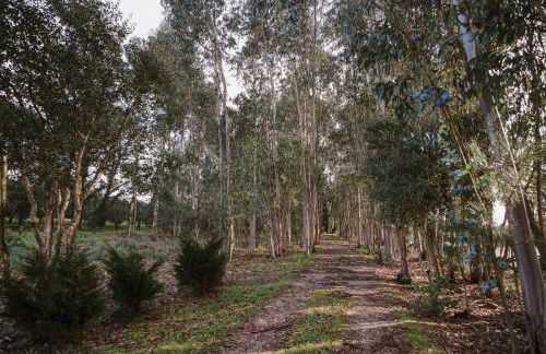 Casa Rural Oliveira do Bairro - Foto 62
