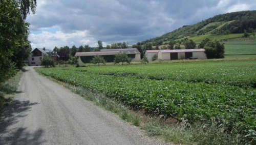 Ferienwohnungen Maintal - Foto 3, Other