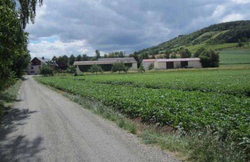 Ferienwohnungen Maintal - Foto 3