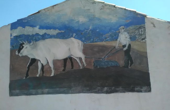 Agriturismo Camisadu - Foto 14