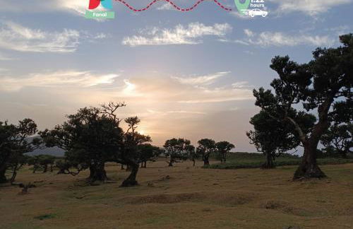 Moradia Garcês - Foto 33