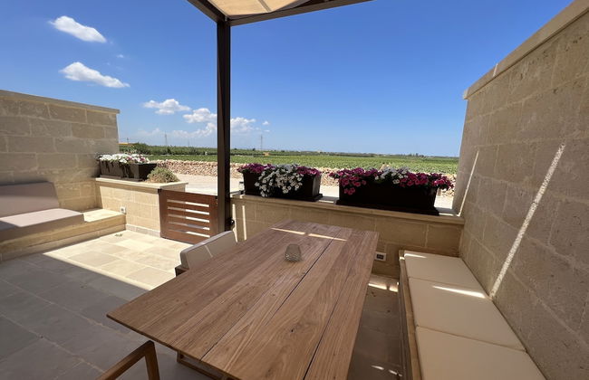 Gianfranco Fino Viticoltore - Foto 30