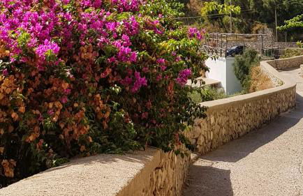 Al Poggio Antico - Foto 17