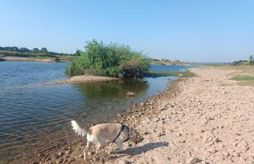 CASA PORTUGUESA piscine 1h15 Lisboa - Foto 28
