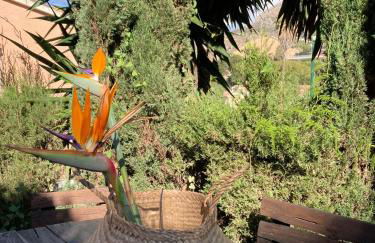 Estudio Pedregalejo Garden Málaga - Photo 9