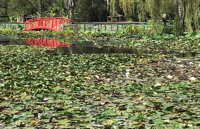 Annie's Escape in Warburton - Foto 23