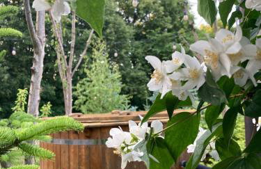 Widokówka - Foto 63