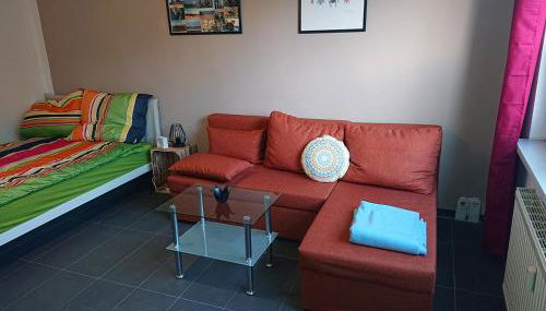 FeWo Leipziger Neuseenland - Foto 5