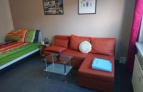 FeWo Leipziger Neuseenland - Foto 5