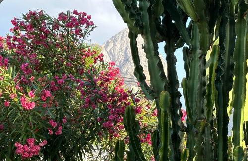 Chalet Los Almendros con piscina privada - Photo 41