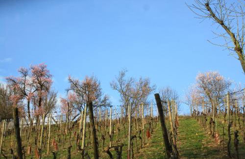 Maison de Tante Louise - Foto 14