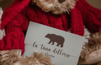 La Tana dell'Orso Bormio - Nature and Welness - Foto 19